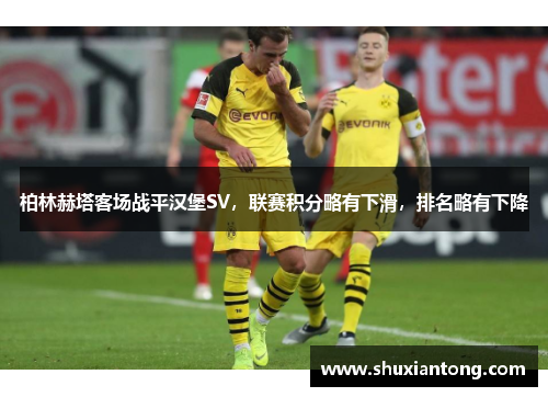 柏林赫塔客场战平汉堡SV，联赛积分略有下滑，排名略有下降